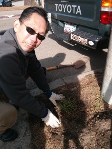 the plant installation 