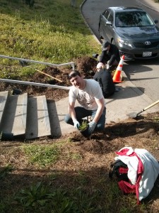 pep talk for the new plant