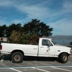 yippee a new home for the brush