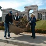 The organic flying carpet