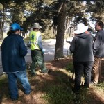 Planning from the experts